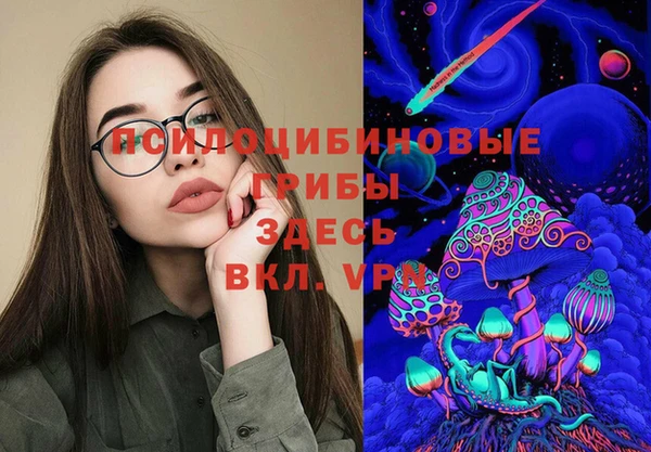 стаф Горнозаводск