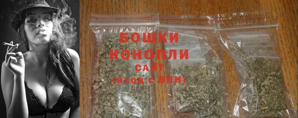 стаф Горнозаводск
