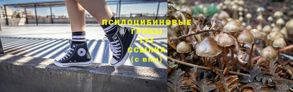 герыч Горняк