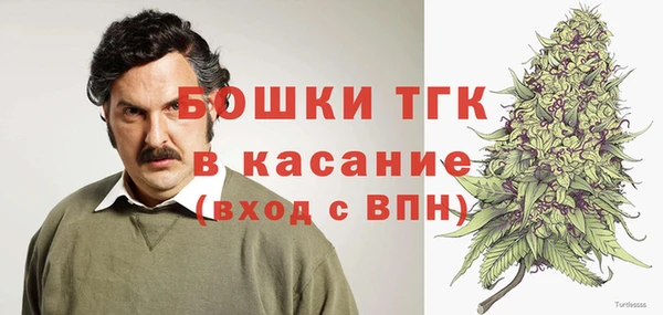 стаф Горнозаводск