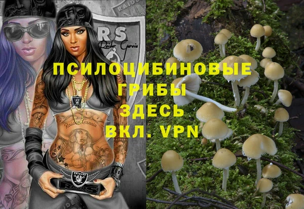стаф Горнозаводск