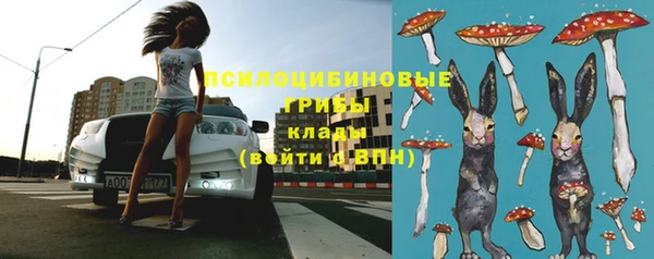 стаф Горнозаводск