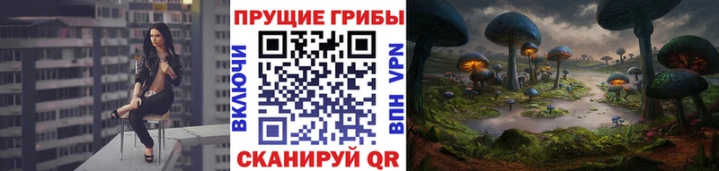 где купить наркоту  Ачинск  Псилоцибиновые грибы Magic Shrooms 
